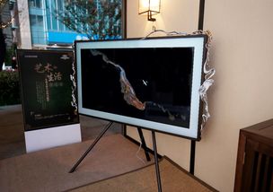 三星跨界故宮設計師開啟藝術生活,雙11電視刮宮廷風