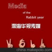 廣告?zhèn)髅?塑造現(xiàn)代商業(yè)與文化的無形之手